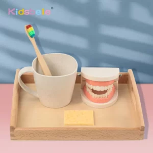 צעצוע מונטסורי ללימוד צחצוח שיניים לילדים