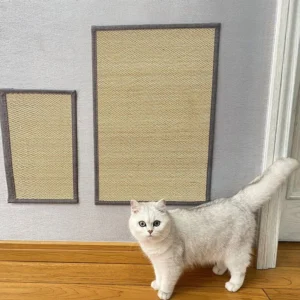 משטח גירוד לחתול על הקיר